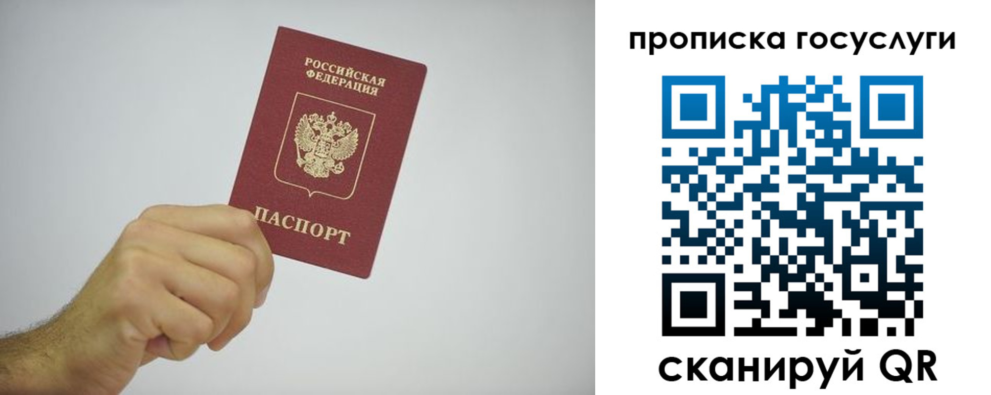 прописка законно в Ейске
